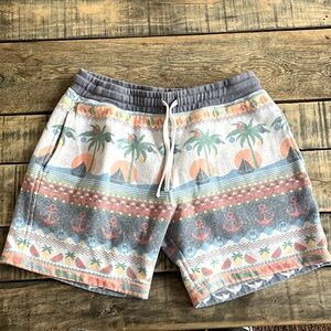 Chubbies Men’s Shorts Size Medium